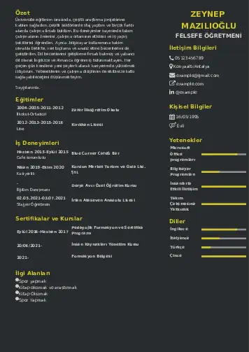 Felsefe Öğretmeni CV Örnekleri cv indir